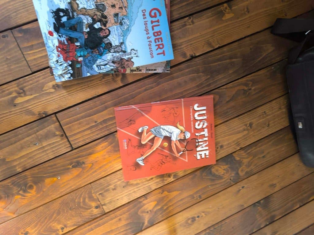 Collection de 37 BD : Tintin, Astérix, Boule et Bill…